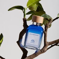 Agua Fresca Lima Tonka 120ml-207870 Agua Fresca Lima Tonka 120ml-207870 5